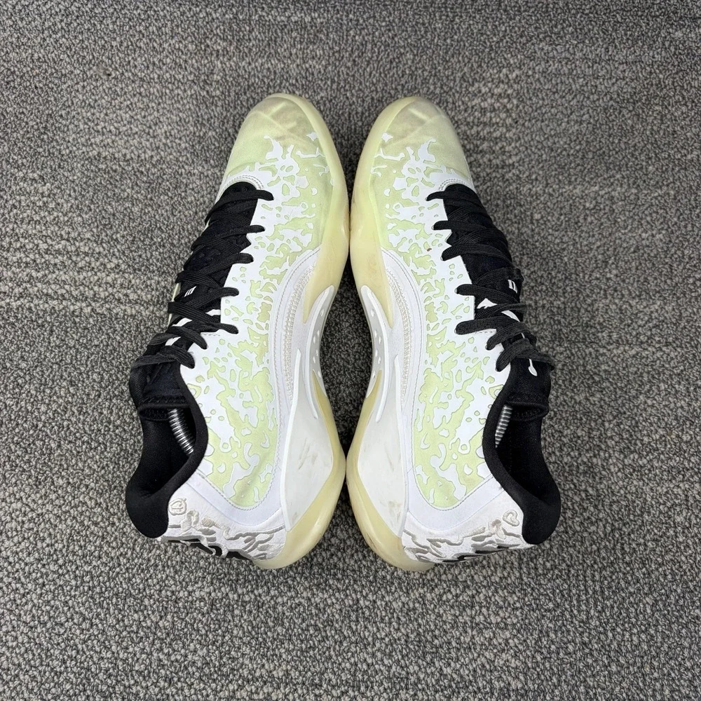 Jordan nike zion